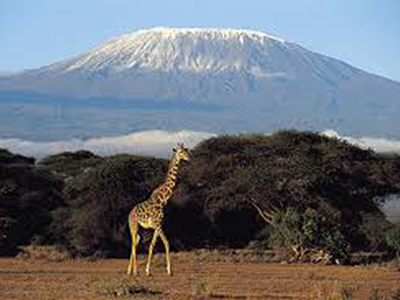 Mt. Kilimanjaro, Kenya, Africa